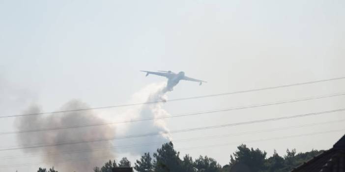 Urla'daki orman yangını 20 saat sonra kontrol altında!