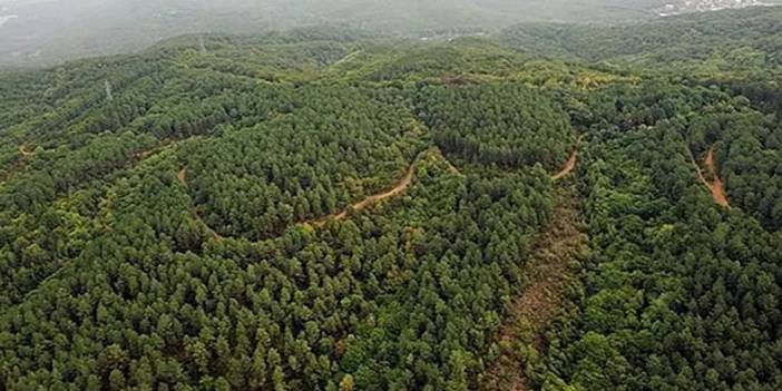 Ormanlık alanlara girişler 30 Ekim'e kadar yasaklandı