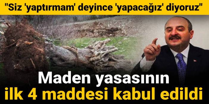 Maden yasasının ilk 4 maddesi kabul edildi: AKP'li Varank "Siz 'yaptırmam' deyince 'yapacağız' diyoruz" demişti