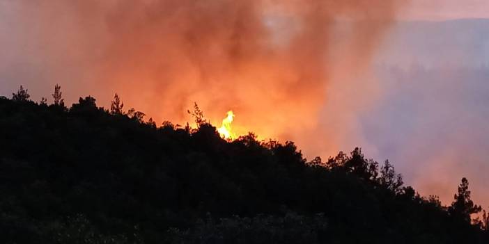 Balıkesir alev alev! Bir mahalle tahliye edildi