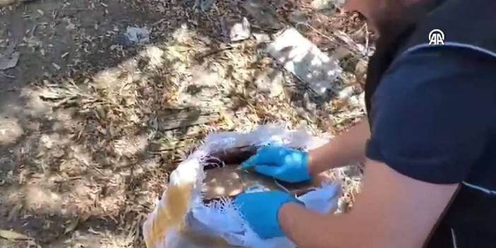 Kargo kutusundan çıkanlar ağızları açık bıraktı