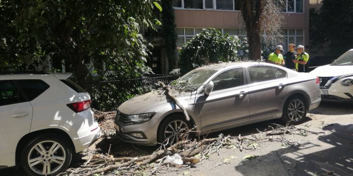 Şişli'de ağaçtan kopan dal park halindeki aracın üzerine düştü