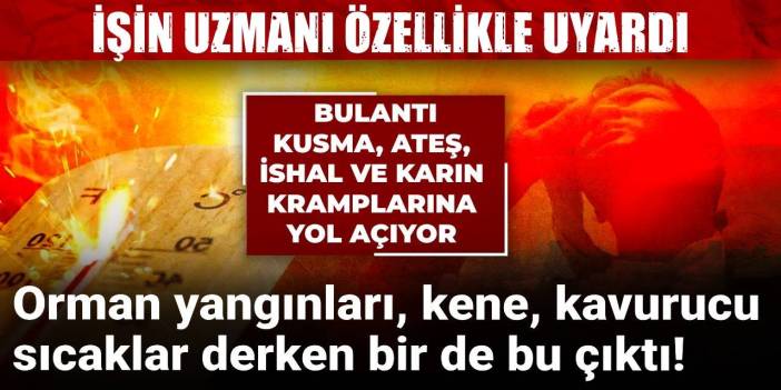 Kene, kavurucu sıcaklar derken bir de bu çıktı! Uzmanı uyardı: Bulantı, kusma, ateş, ishala neden oluyor