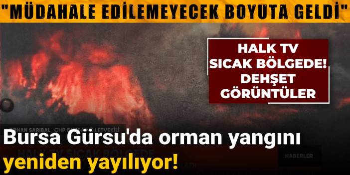 Bursa Gürsu'da orman yangını yeniden yayılıyor! Halk TV sıcak bölgede: Dehşet görüntüler