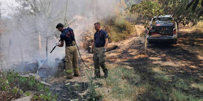 Balıkesir itfaiyesi ve hayvan ambulansı Bursa için seferber oldu