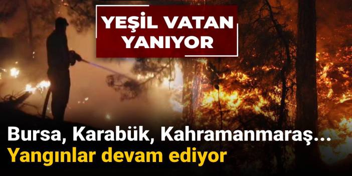Bursa, Karabük, Kahramanmaraş... Yangınlar devam ediyor