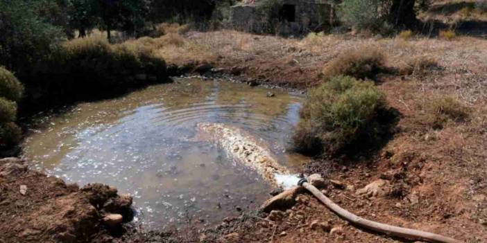 Bodrum'da göletler alarm veriyor: Kuraklığa karşı su takviyesi