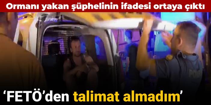 Ormanı yakan şüphelinin ifadesi ortaya çıktı: ‘FETÖ’den talimat almadım’