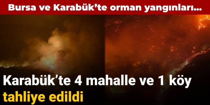 Bursa ve Karabük'teki orman yangınlarıyla mücadele sürüyor: Havadan müdahaleler tekrar başladı