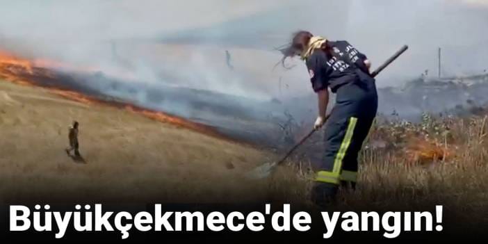 Son dakika | Büyükçekmece'de yangın