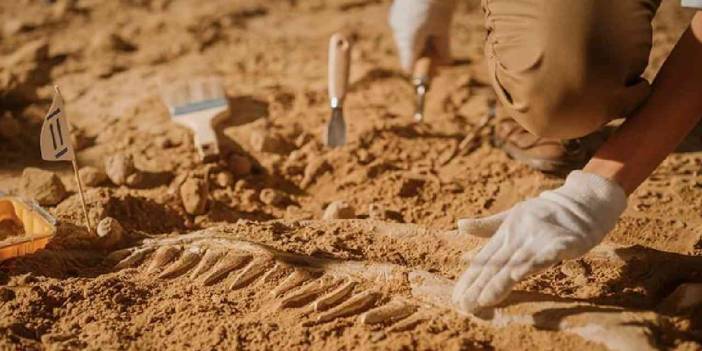 Bilim insanları keşfetti: 75 bin yıllık kemik kalıntıları bulundu