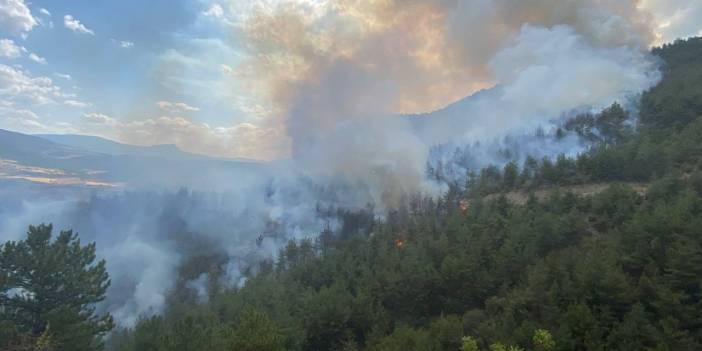 Karabük'te ormanlık alanda yangın