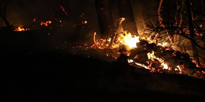 Çanakkale'de evler kül oldu, köyler boşaltıldı… Meteoroloji'den korkutan rüzgar uyarısı da geldi