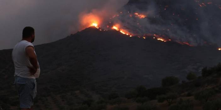 Orman yangınlarında hiç bilinmeyen doğa katliamını profesör açıkladı
