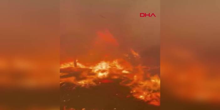 Çanakkale'deki yangının feci görüntüsü ortaya çıktı: Ekipler alevlerin ortasında ölümle burun buruna gelmiş