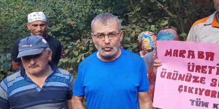 Fındıkta belirlenen fiyat üreticiyi memnun etmedi