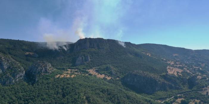 Sinop'ta orman yangını! Köy boşaltıldı