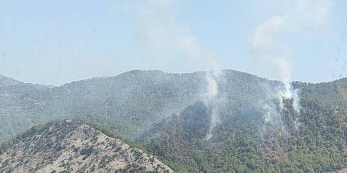 Mersin'de orman yangını!