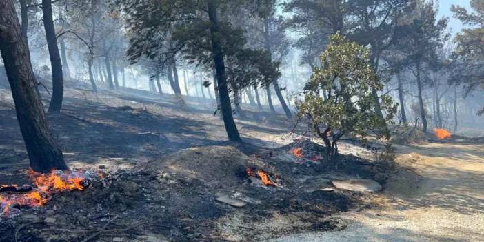 Türkiye bugün de yangınlarla boğuştu: Düşük nem, yüksek sıcaklık ve tedbirsizlikler
