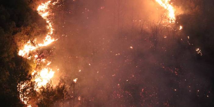 Hatay'da orman yangını! Alevler sınıra dayandı