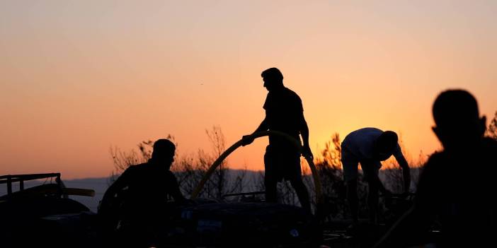 Bir günde 55 yangın çıktı, binlerce kişi tahliye edildi: Ormanlar alev alev yanıyor!
