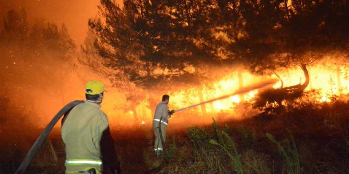 Çanakkale'de kabus bitmiyor: Ormanlar 2 gündür alev alev!
