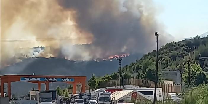 Suriye'de başlayan orman yangını Hatay'a sıçradı