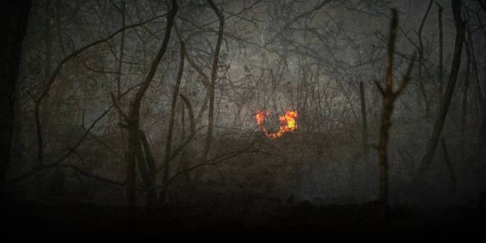 Bakan Yumaklı “Kabul edilmesi mümkün değil” dedi! Yanan ormanlarda bunu yapmak artık yasak