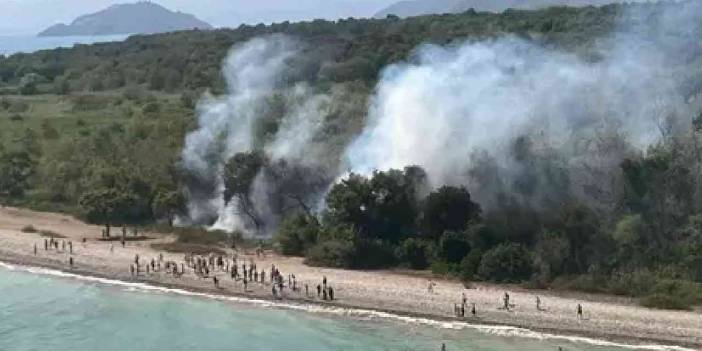 Fethiye’de çıkan yangın 1,5 saatin ardından söndürüldü!