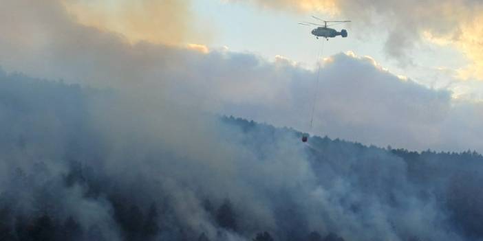 Bolu'daki yangın kontrol altına alındı