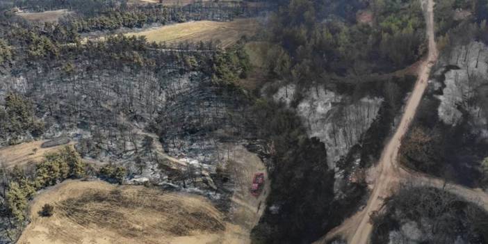Çanakkale yangınlarının bilançosu ortaya çıktı! Ciğerlerimiz küle döndü