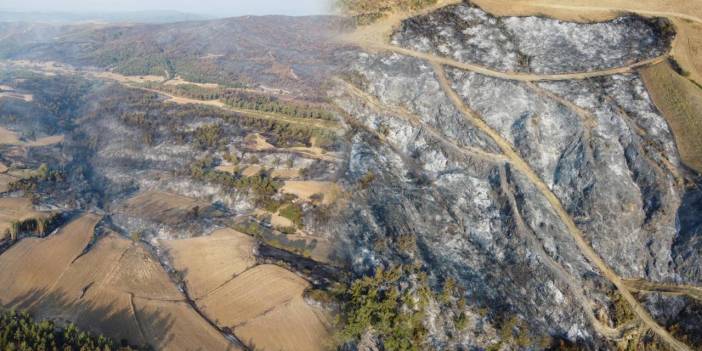 Çanakkale yangını 2 gün sonra kontrol altında! Alevlerin yarattığı yıkım yürek yaktı