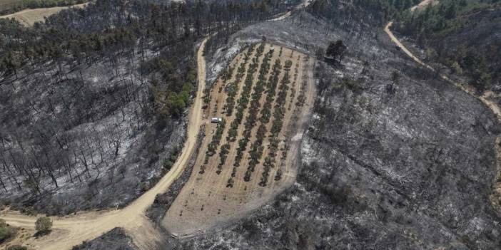 Mucize değil emek ve bilimin gücü: Alevler orayı teğet geçti