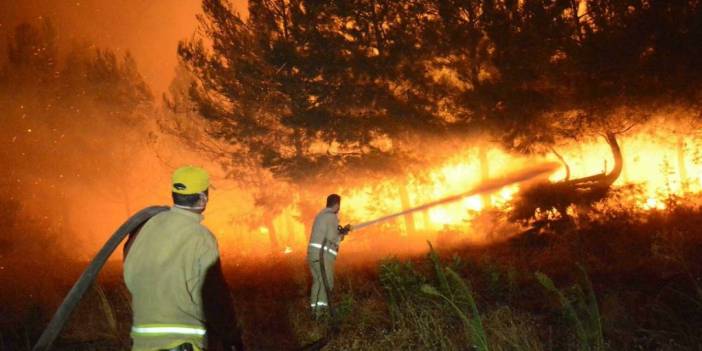 Çanakkale'deki yangınlar analiz edildi: Binlerce hektar yandı