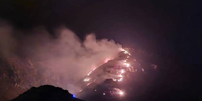 Marmara Adası'nda orman yangını!