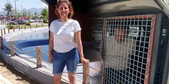 Muğla'da kadın cinayeti: 40 gün boyunca plan yapmış