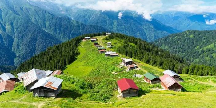 7 ayda 1,5 milyon dolar kazandırdı: Bu işi yapan köşeyi dönüyor