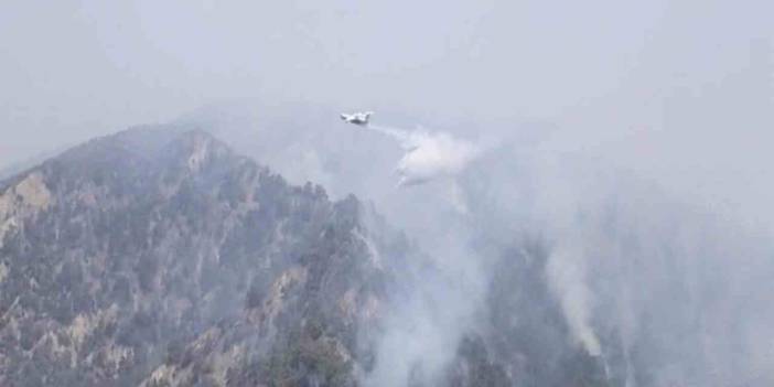 Aydın'da ormanlar 2 gündür yanıyor!