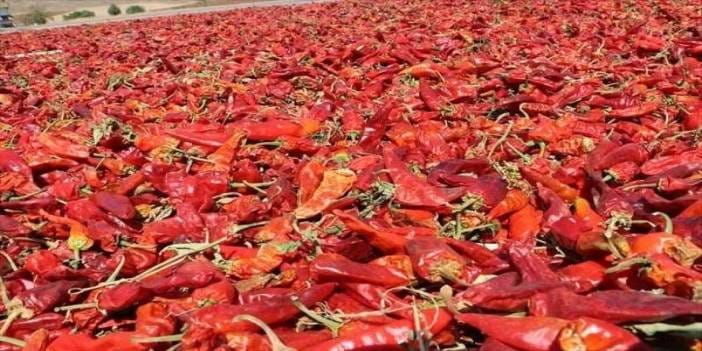 Şanlıurfa'da "Biberim az geldi görümcemin nazarı değdi" diyenlere kötü haber