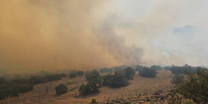 Balıkesir'de orman yangını: Gökyüzünü duman kapladı