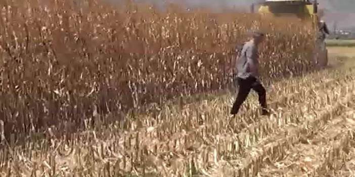 9 bin ton toplanacak: 11 bin 300 liradan satılacak