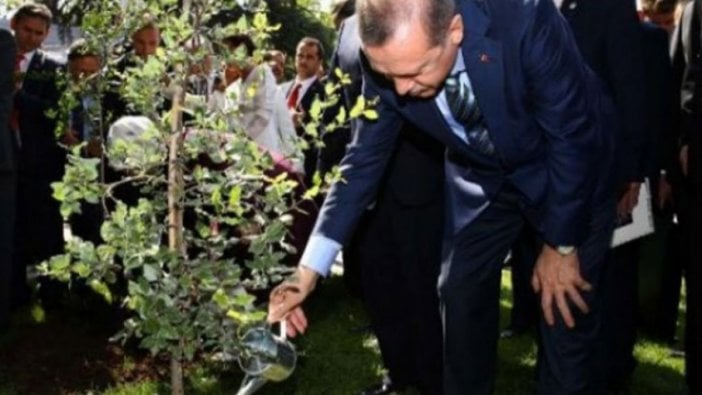 Cumhurbaşkanı bu kez sosyal medyaya kulak verdi! Erdoğan o isteğe destek verdi!