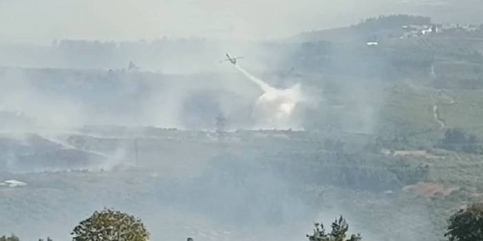 Bursa'daki orman yangını: Kontrol altına alındı