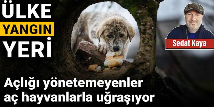 Açlığı yönetemeyenler aç hayvanlarla uğraşıyor: Ülke yangın yeri