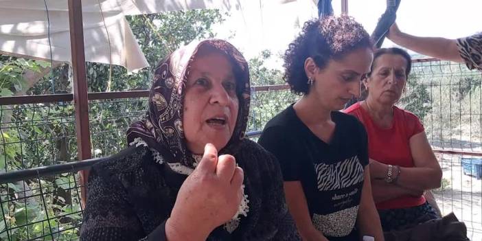 Hatay'da kamulaştırma gerilimi: Yargı süreci beklenmeden ağaçlar söküldü