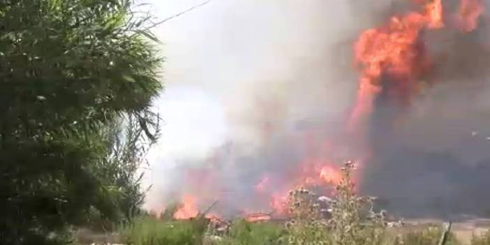 Otluk alanda çıkan yangın ekiplere zor anlar yaşattı! 12 araç küle döndü