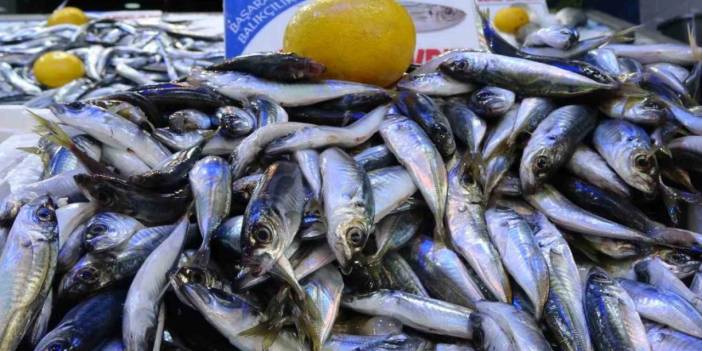 Karadeniz'de bu yıl palamut yok ama telaşa gerek yok istavrit var! Cebinize uygun hamsiyi bekleyin