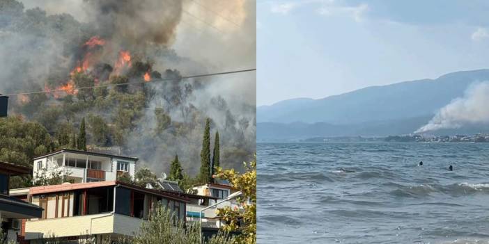 Son dakika | Edremit'te orman yangını