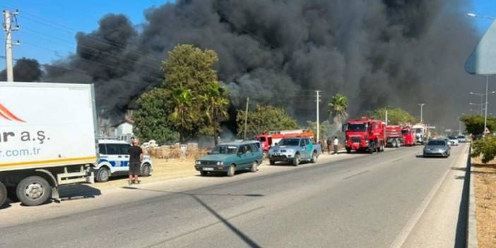 Kereste deposunda yangın: Ormanlık alan tehdit altında