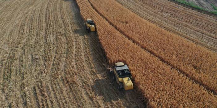 Bakanlık resmen açıkladı: 274 milyon TL'lik ödemeler hesaplara yatıyor